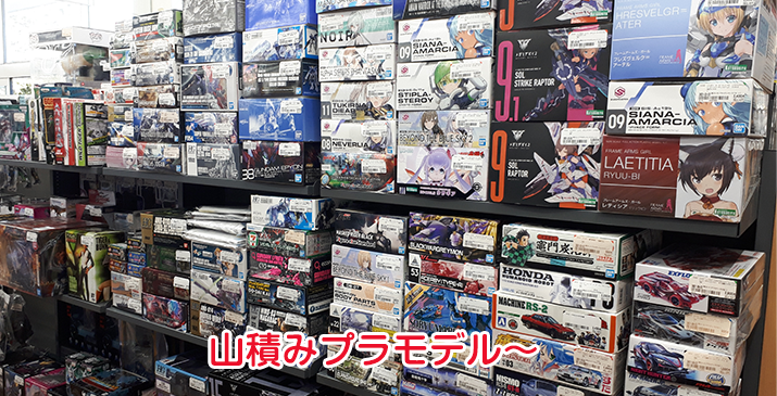 ふじみ野苗間店